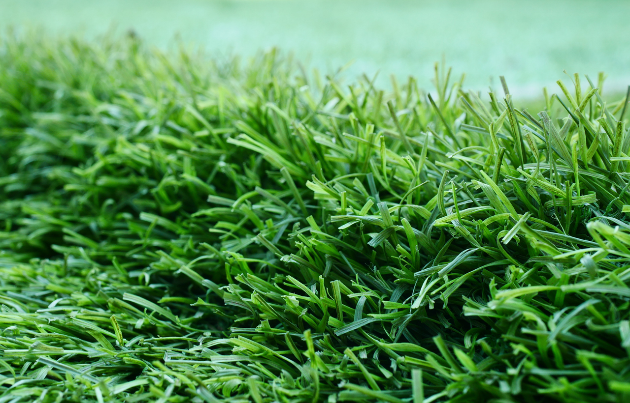 les fibres de gazon synthétique